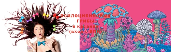 дмт Алзамай