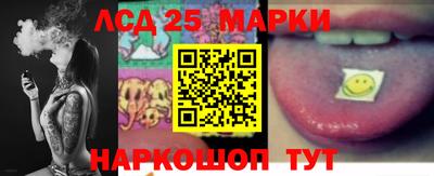 скорость Жуковский