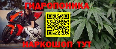 скорость Жуковский