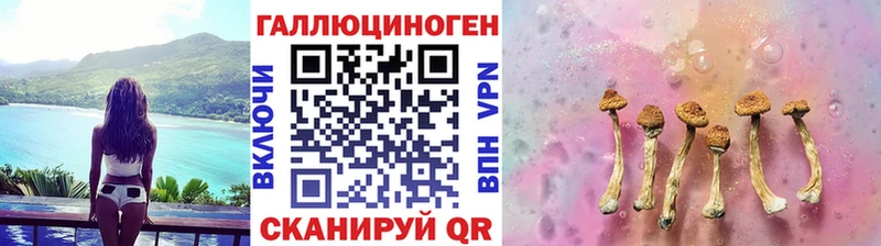 Псилоцибиновые грибы Psilocybe дарнет шоп Чапаевск