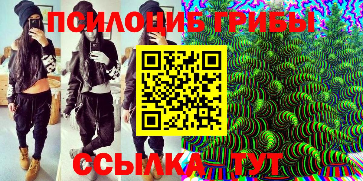 Псилоцибиновые грибы Cubensis Чапаевск